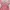Abercrombie Pink Striped Babydol  photo 3