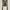 Hollister Brown Knit Babydoll photo 1