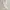 Hollister White Flower Tank Top photo 1