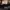 LV Nano Speedy Rare Noser RA photo 5
