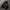 Zipper Hoodie Skull skeleton graffity mastermind hydrogen photo 1