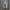 TRUE RELIGION SKINNY LIGHT BLUE JEANS photo 6
