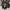 Hoodie travas Tokyo Japanese brand  photo 2