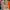 Hoodie full ziper banc full print aop  photo 4