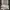 DICKIES GENUINE MILITARY PANT CELPO photo 8