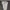 WHO AU MILITARY HEAVYWEIGHT SHORT CARGO photo 8