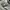 Adidas Men's RYV Allover Print T-Shirt photo 7