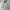 modni - heavy weight boxy blank grey hoodie photo 1