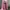 Lace Waist Pink Coquette Flared Pants