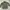 Streetwear Bomber jacket Pria green photo 1