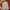 Vintage  Vest Fjallraven | Rompi Fjallraven Second photo 2