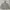 Fear Of God Vintage Streetwear Hoody Pria Tan