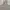Fear of God Vintage Streetwear Hoody Pria tan photo 3
