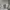 Fear of God Vintage Streetwear Hoody Pria tan photo 5