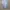 Issey Miyake Tsumori Chisato Jeans Pattern Women Midi Dress photo 9