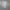 Issey Miyake Tsumori Chisato Jeans Pattern Women Midi Dress photo 7