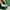 Pace Oversized T-shirt Green photo 6