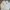 MLB Sportswear Sweater Pria Cream