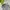 Vest rompi puffer ultralight topten super cakep banget photo 2