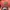 Puma RS Curve women  photo 7