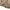 Schott NYC Vintage Y2K Harrington jacket Pria tan photo 4