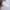 The North Face Casual Sweatshirt Pria white black photo 8