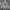 Grooverhyme Casual Sweatshirt Pria gray photo 1