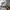 Grooverhyme Casual Sweatshirt Pria gray photo 5