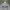Grooverhyme Casual Sweatshirt Pria gray photo 3