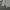 Grooverhyme Casual Sweatshirt Pria gray photo 4