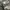 Mini Skirt Camouflage / Army photo 5