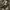 Mini Skirt Camouflage / Army photo 7