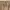 2021' Dickies Canvas Carpenter Rinsed Brown photo 5