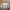 Plain White Long Sleeve  photo 1
