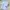 Streetwear Casual Casual shirt Pria multicolor photo 2