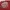 Piko Sports Vintage Sweater Pria red photo 4