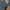 CROSS HATCH JEANS STRAIGHT 34S 🔥 PRELOVED DENIM