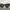 Sunglasses Gentle Monster  photo 6