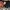 Enola Commit Death photo 3