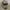 Y2K Von Dutch Green Caded Hat photo 1