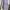Blazer biru muda photo 3