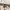 FUBU Skater Casual Short Pria cream photo 6