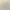 FUBU Skater Casual Short Pria cream photo 4