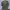 Stussy Camouflage RealTree photo 2