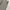 Dickies Skater Casual Casual pants Pria white black photo 6