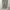 Dickies Skater Casual Casual pants Pria white black photo 5