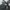 Dr Martens Combs Tech Authentic photo 6