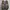 Dr Martens Combs Tech Authentic photo 7