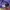 VANS Y2K Casual Casual shirt Pria purple photo 6