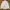 BEUTY & YOUTH UNITED ARROWS JAPANESE CASUAL WHITE POLCADOT B photo 6